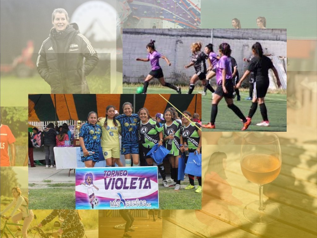 torneo violeta
