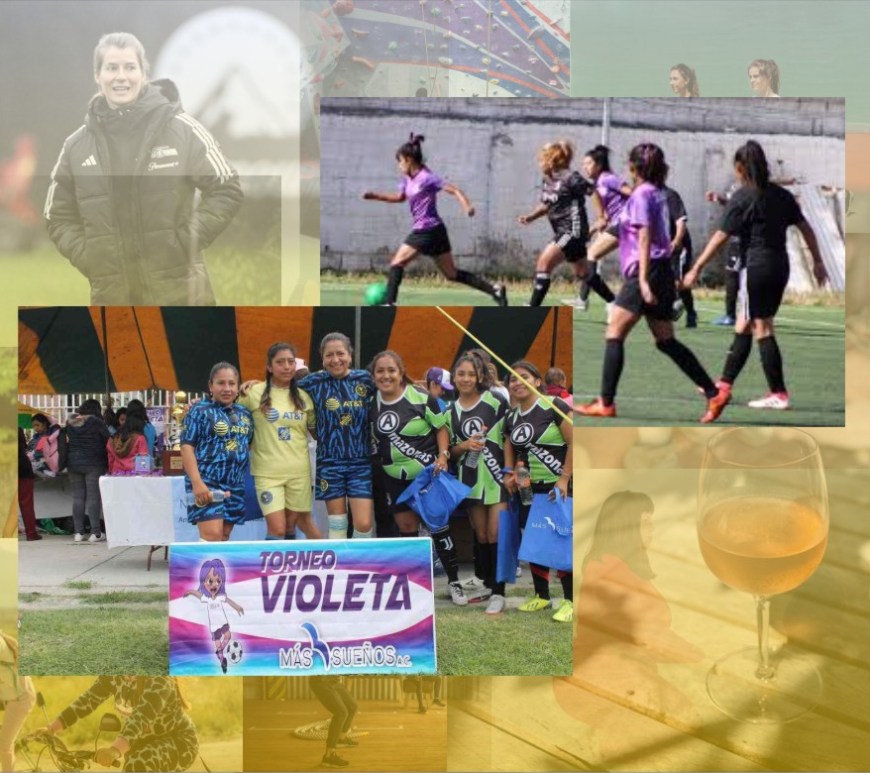torneo violeta