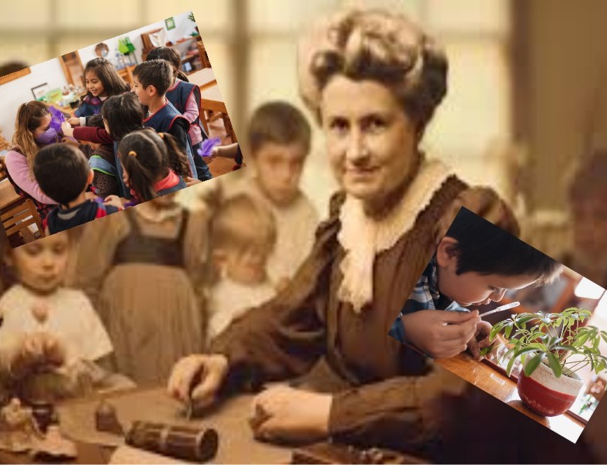 montessori martinelli